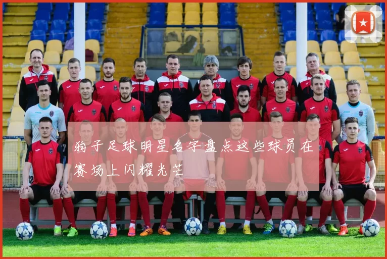 狗子足球明星名字盘点这些球员在赛场上闪耀光芒