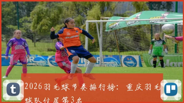 2026羽毛球节奏排行榜：重庆羽毛球队位居第3名