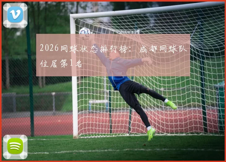 2026网球状态排行榜：成都网球队位居第1名