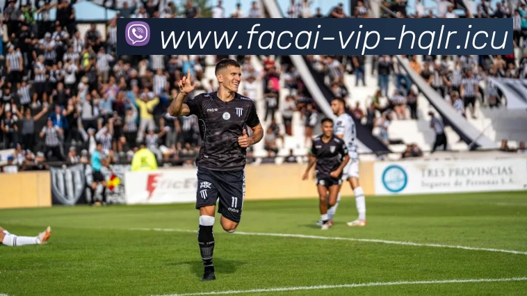 乐鱼体育APP 封面图